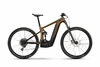 GHOST E-Riot Trail Advanced black/gold - glossy M