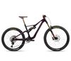 Orbea RALLON M-TEAM S Metallic Mulberry (Gloss-Matt)